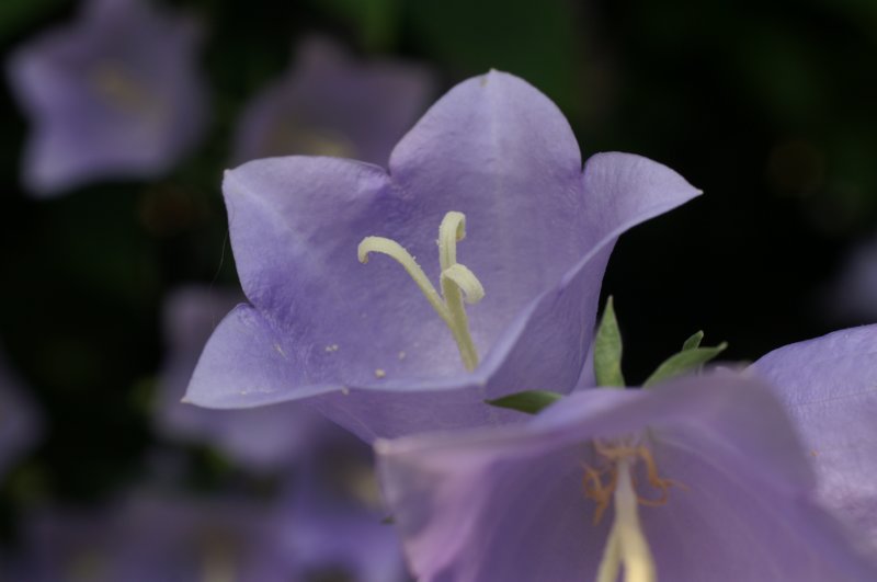 pict0007.jpg