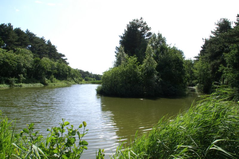 pict0111.jpg
