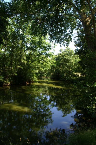 pict0120.jpg